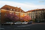 Stadtteil Aeussere Pleich