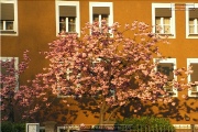 Stadtteil Aeussere Pleich
