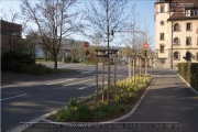 Stadtteil Aeussere Pleich