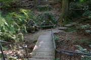 die Annaschlucht vom Steinbachtal zum Oberen Steinbachweg