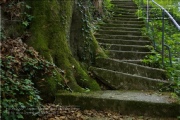 die Annaschlucht vom Steinbachtal zum Oberen Steinbachweg