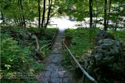 der Weg vom Wanderweg zur Annaschlucht ueber die Brücke