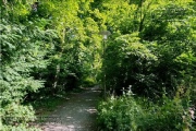 die Annaschlucht vom Steinbachtal zum Oberen Steinbachweg