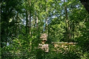 die Annaschlucht vom Steinbachtal zum Oberen Steinbachweg