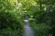 die Annaschlucht vom Steinbachtal zum Oberen Steinbachweg