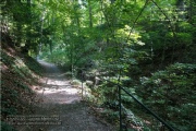 die Annaschlucht vom Steinbachtal zum Oberen Steinbachweg