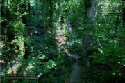 die Annaschlucht vom Steinbachtal zum Oberen Steinbachweg