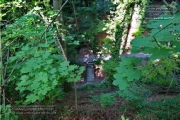 die Annaschlucht vom Steinbachtal zum Oberen Steinbachweg