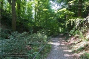 die Annaschlucht vom Steinbachtal zum Oberen Steinbachweg