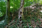 die Annaschlucht vom Steinbachtal zum Oberen Steinbachweg