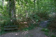 die Annaschlucht vom Steinbachtal zum Oberen Steinbachweg