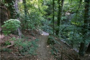 die Annaschlucht vom Steinbachtal zum Oberen Steinbachweg