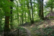 die Annaschlucht vom Steinbachtal zum Oberen Steinbachweg