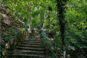 die Annaschlucht vom Steinbachtal zum Oberen Steinbachweg