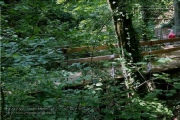 die Annaschlucht vom Steinbachtal zum Oberen Steinbachweg