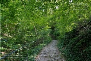 die Annaschlucht vom Steinbachtal zum Oberen Steinbachweg