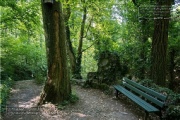 die Annaschlucht vom Steinbachtal zum Oberen Steinbachweg