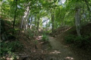 die Annaschlucht vom Steinbachtal zum Oberen Steinbachweg