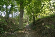 die Annaschlucht vom Steinbachtal zum Oberen Steinbachweg