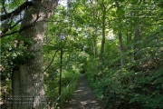 die Annaschlucht vom Steinbachtal zum Oberen Steinbachweg