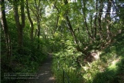 die Annaschlucht vom Steinbachtal zum Oberen Steinbachweg