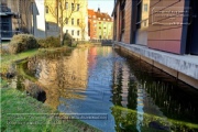 Wuerzburg Januar bis März 2019