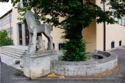 Wuerzburg im Juli 2025