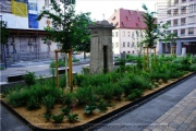 Wuerzburg im Juli 2025