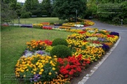 Wuerzburg anno 2004