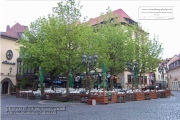 Wuerzburg anno 2004