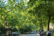 Wuerzburg anno 2004