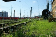 Bahnbetriebswerk Wuerzburg - BW 1