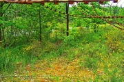 ammunition dump