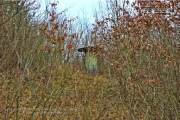 ammunition dump
