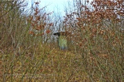 Harvey Barracks - Ammunition Depot