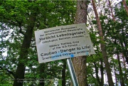 Battlefield trainings area