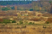 Harvey Barracks Exercise Area