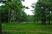 Harvey Barracks Exercise Area