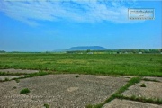 Harvey Barracks - Runway and surroundings