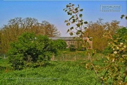 Harvey Barracks - Skeet Shooting Range