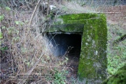 The shooting bunker was hidden in the forest opposite the barracks.