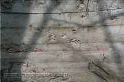 The shooting bunker was hidden in the forest opposite the barracks.