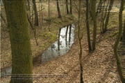 The shooting bunker was hidden in the forest opposite the barracks.