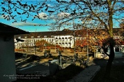 Hospital Wuerzburg - shortly after the return