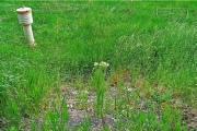 Larson Barracks - anno 2008