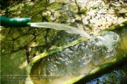 Bauterswiesenbrunnen