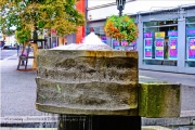 Brunnen am Dominikanerplatz