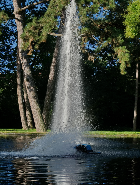 Fontäne im Pleicher See (Pleicherglacis)