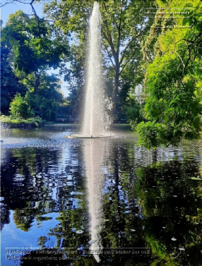 Fontäne im Pleicher See (Pleicherglacis)
