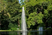 Fontäne im Pleicher See